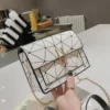 CARRIER LADY Small Flap Crossbody Bags