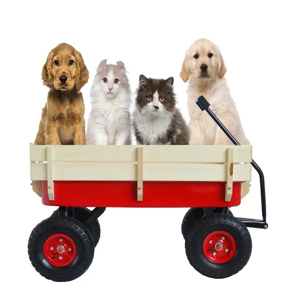 ELA Outdoor Sport Wagon Tools Cart Wooden Side Panels Air Tires Wagon - Red - Image 5
